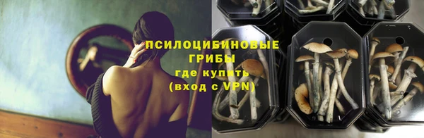 прущий лед Алексин