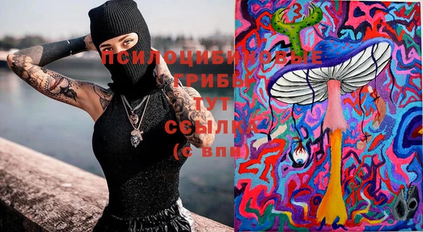 МДПВ Алексеевка