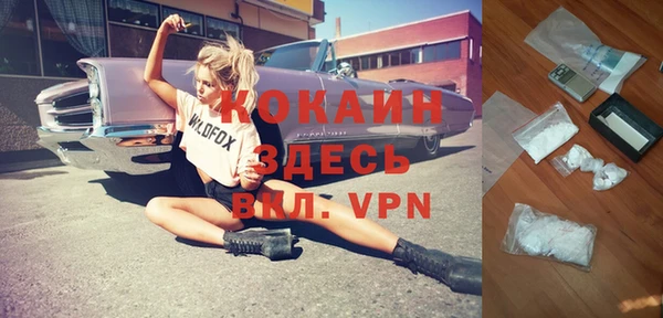 винт Алзамай